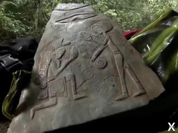 Sí, has leído bien, gatos en el espacio.